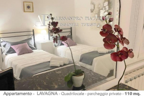 Casa CEO Lavagna